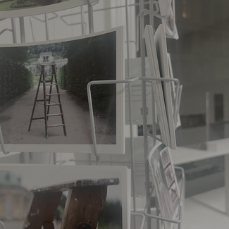 Participation and Instrumentality