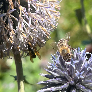 Creative competence and skills needs