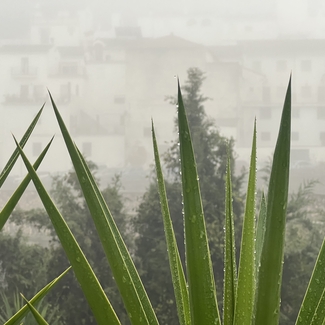 Creative Case Studies