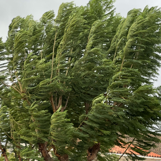 Mental Health Clinic