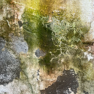 Creative subsistence