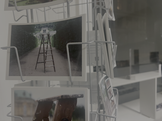 Participation and Instrumentality