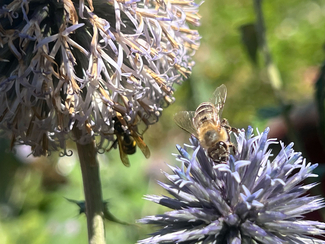 Creative competence and skills needs