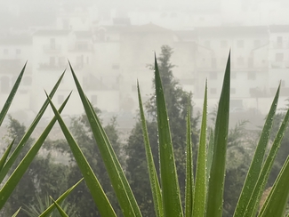 Creative Case Studies