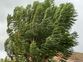 Mental Health Clinic