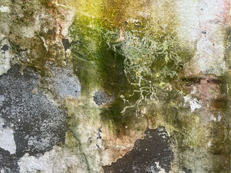 Creative subsistence