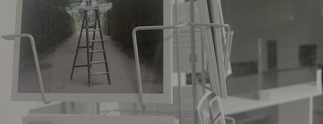 Participation and Instrumentality