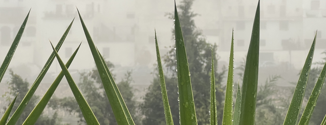 Creative Case Studies