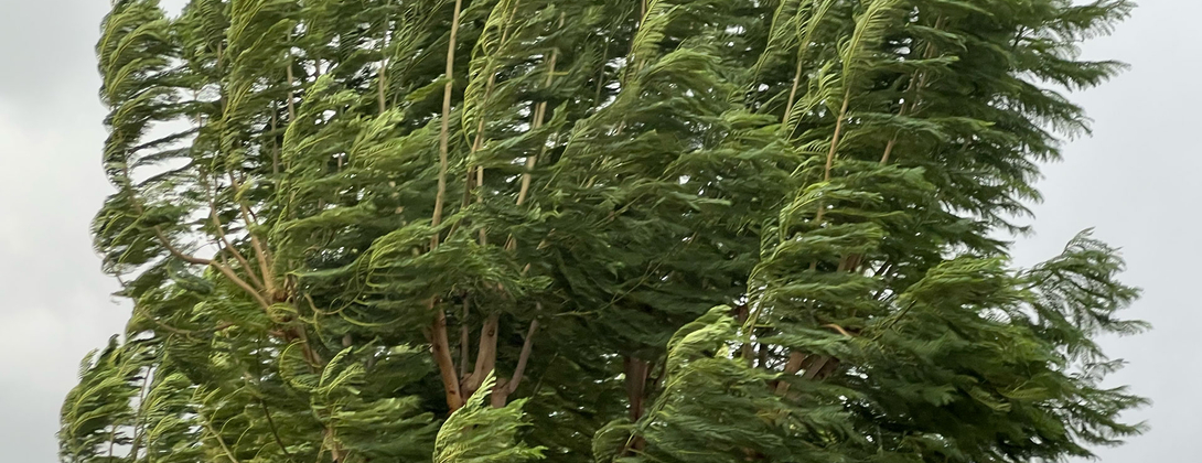 Mental Health Clinic