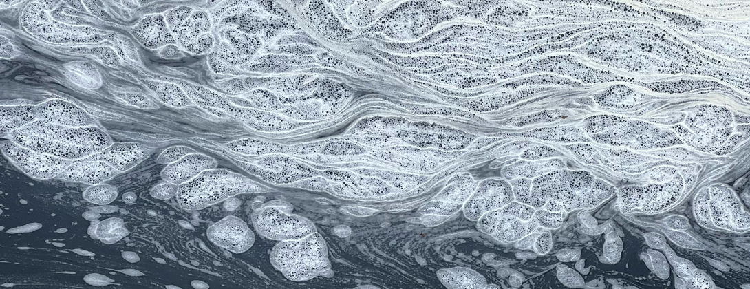 Artistic Intelligence