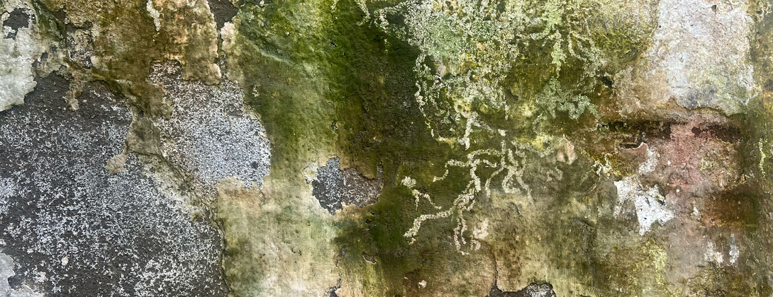 Creative subsistence